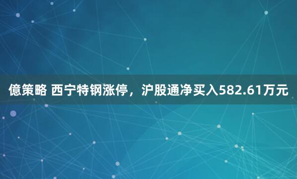 億策略 西宁特钢涨停，沪股通净买入582.61万元